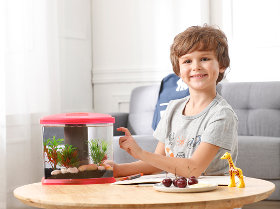 1604211147988651.jpg 未標題-2.jpg