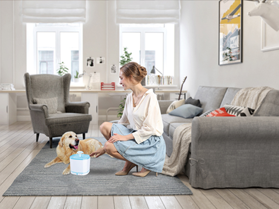 1604393831729155.jpg 4.jpg